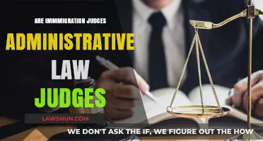 Are Immigration Judges Administrative Law Judges? Understanding Their Role