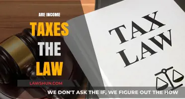 Income Taxes: Understanding the Law