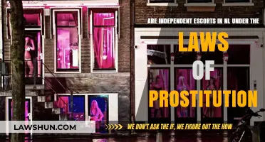 Are Independent Escorts in NL Legally Protected Under Prostitution Laws?