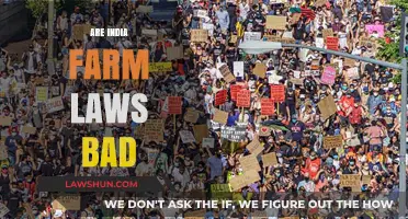Farm Laws: India's Agricultural Future in Jeopardy?