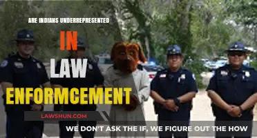 Are Indians Underrepresented in Law Enforcement? Exploring Diversity Gaps