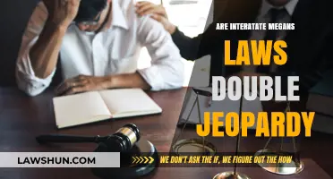 Are Interstate Megan's Laws Double Jeopardy? Legal Analysis Explained