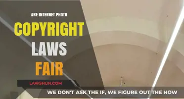 Are Internet Photo Copyright Laws Fair? Exploring Rights and Realities