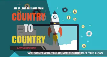 Global IP Laws: Understanding International Variations and Key Differences