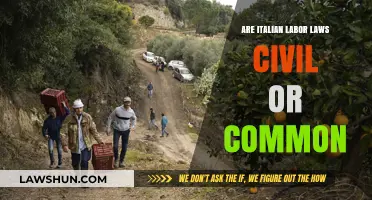 Italian Labor Laws: Civil or Common?