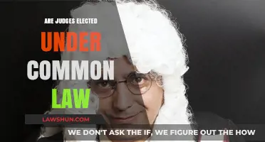 How Are Judges Appointed Under Common Law?