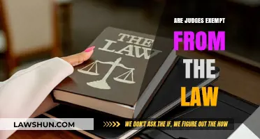 Judicial Immunity: Are Judges Truly Above the Law?