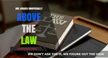 Judicial Immunity: Are Judges Unofficially Above the Law?