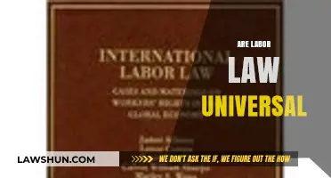Are Labor Laws Universal? Exploring Global Workplace Regulations and Variations
