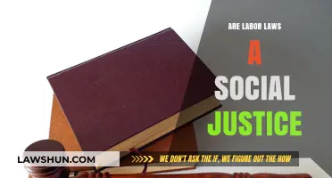 Labor Laws and Social Justice: Balancing Workers' Rights and Equality