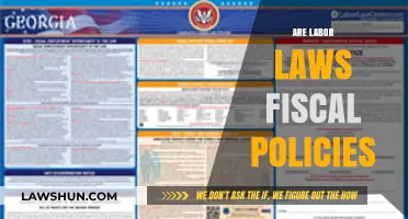 Labor Laws vs. Fiscal Policies: Understanding Their Distinct Economic Roles
