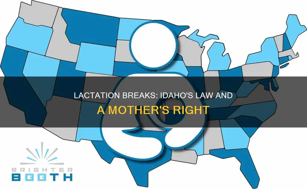 are lactation breaks the law in idaho