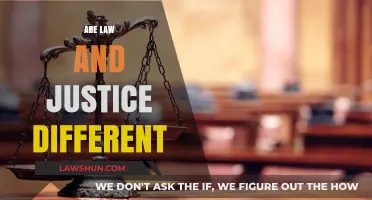 Justice and Law: Two Sides of the Same Coin?