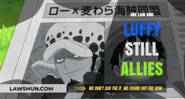 Law and Luffy's Alliance: Current Status and Future Prospects