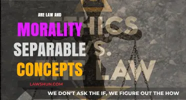 Law vs. Morality: Are They Truly Separable Concepts?