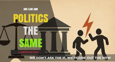 Law vs. Politics: Understanding the Distinct Roles and Overlaps