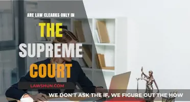 Are Law Clerks Exclusive to the Supreme Court? Exploring Their Role