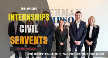 Are Law Clerk Interns Considered Civil Servants? Exploring the Legal Status