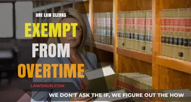 Are Law Clerks Exempt from Overtime? Understanding Labor Laws