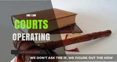 Are Law Courts Operating Efficiently? A Comprehensive Analysis