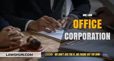 Are Law Offices Corporations? Understanding Legal Entity Structures