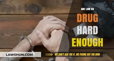 Are Drug Laws Tough Enough? Examining Penalties and Effectiveness