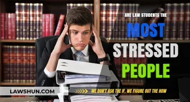 Law Students and Stress: Are They the Most Overwhelmed?