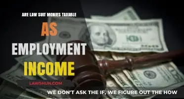 Are Lawsuit Monies Taxable as Employment Income? Key Insights