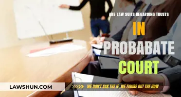 Trust Disputes in Probate Court: Understanding Lawsuits and Legal Battles