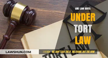 Understanding Tort Law: Are Lawsuits Always Classified as Torts?