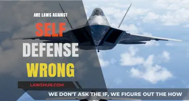 Self-Defense Laws: Protecting Rights or Enabling Wrongs?