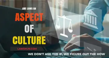 Laws and Culture: Exploring Their Intricate Relationship and Influence
