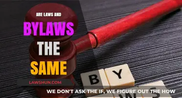 Laws vs. Bylaws: Understanding the Key Differences and Similarities