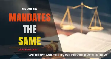 Laws vs. Mandates: Understanding the Key Differences and Similarities