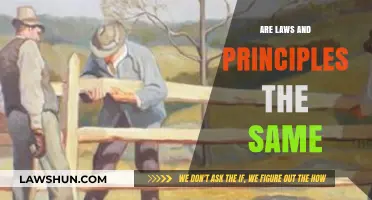 Laws vs. Principles: Understanding the Key Differences and Similarities