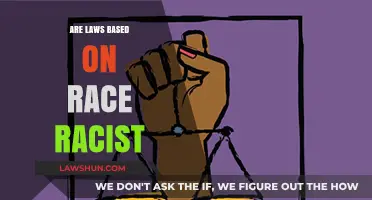 Are Race-Based Laws Inherently Racist? Exploring Legal and Ethical Implications