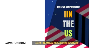 Are U.S. Laws Truly Comprehensive? Analyzing Gaps and Effectiveness
