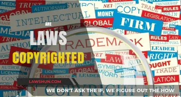 Are Laws Copyrighted? Exploring Legal Protections and Public Access