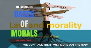 Moral Laws: Where Do They Come From?