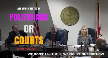 Who Creates Laws? Politicians vs Courts