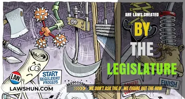 Legislative Laws: Who Creates Them?