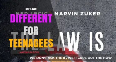 Teen Legal Woes: Understanding Unique Laws for Youth