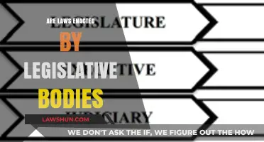 Understanding the Role of Legislative Bodies in Enacting Laws