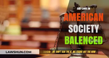Are American Laws Fair? Examining Balance in U.S. Society