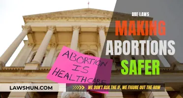 Abortions: Are Laws Making Them Safer?