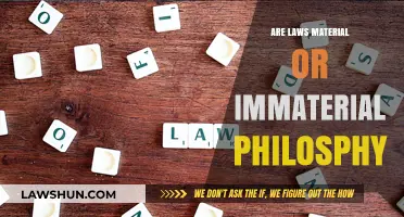 Are Laws Tangible or Intangible? Exploring Legal Philosophy's Materiality Debate