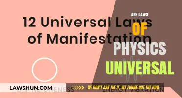 Physics Laws: Universal or Unique?
