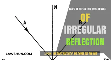 Reflection Laws: Irregular Surfaces and Truth