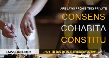Cohabitation Laws: Constitutional or Intrusive?