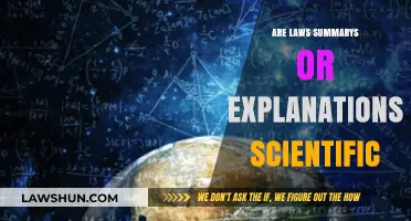 Are Laws Scientific Explanations or Mere Summaries of Phenomena?